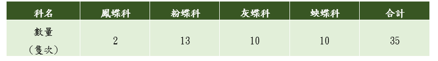工區蝶類統計表